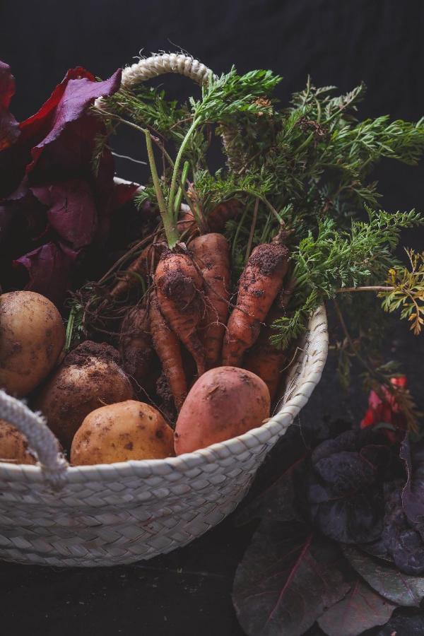 Agriturismo Osteria Du Barba Pe' - Casa Cassini บอร์ดิเกรา ภายนอก รูปภาพ