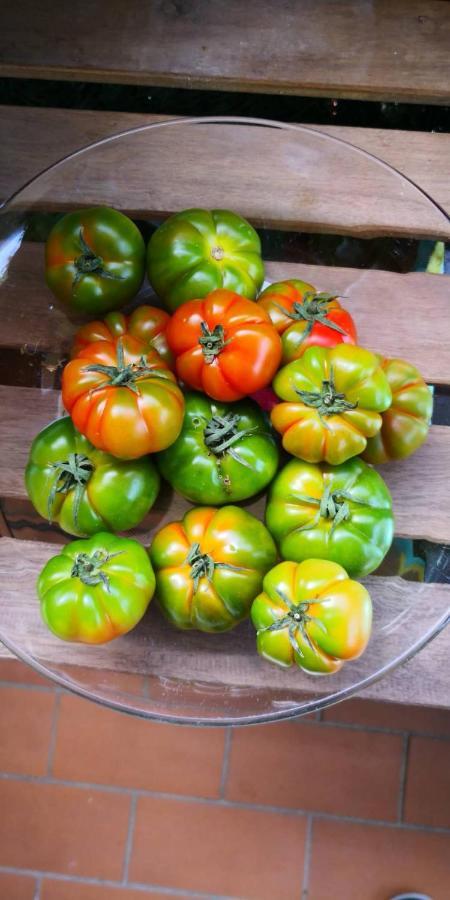 Agriturismo Osteria Du Barba Pe' - Casa Cassini บอร์ดิเกรา ภายนอก รูปภาพ