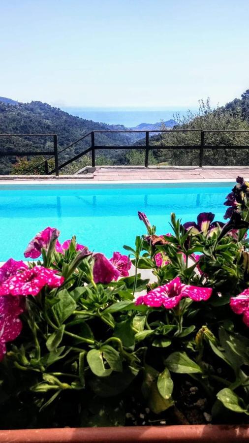 Agriturismo Osteria Du Barba Pe' - Casa Cassini บอร์ดิเกรา ภายนอก รูปภาพ